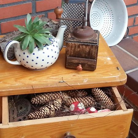 Ferienhaus Emstal In Oberlangen Lathen エクステリア 写真