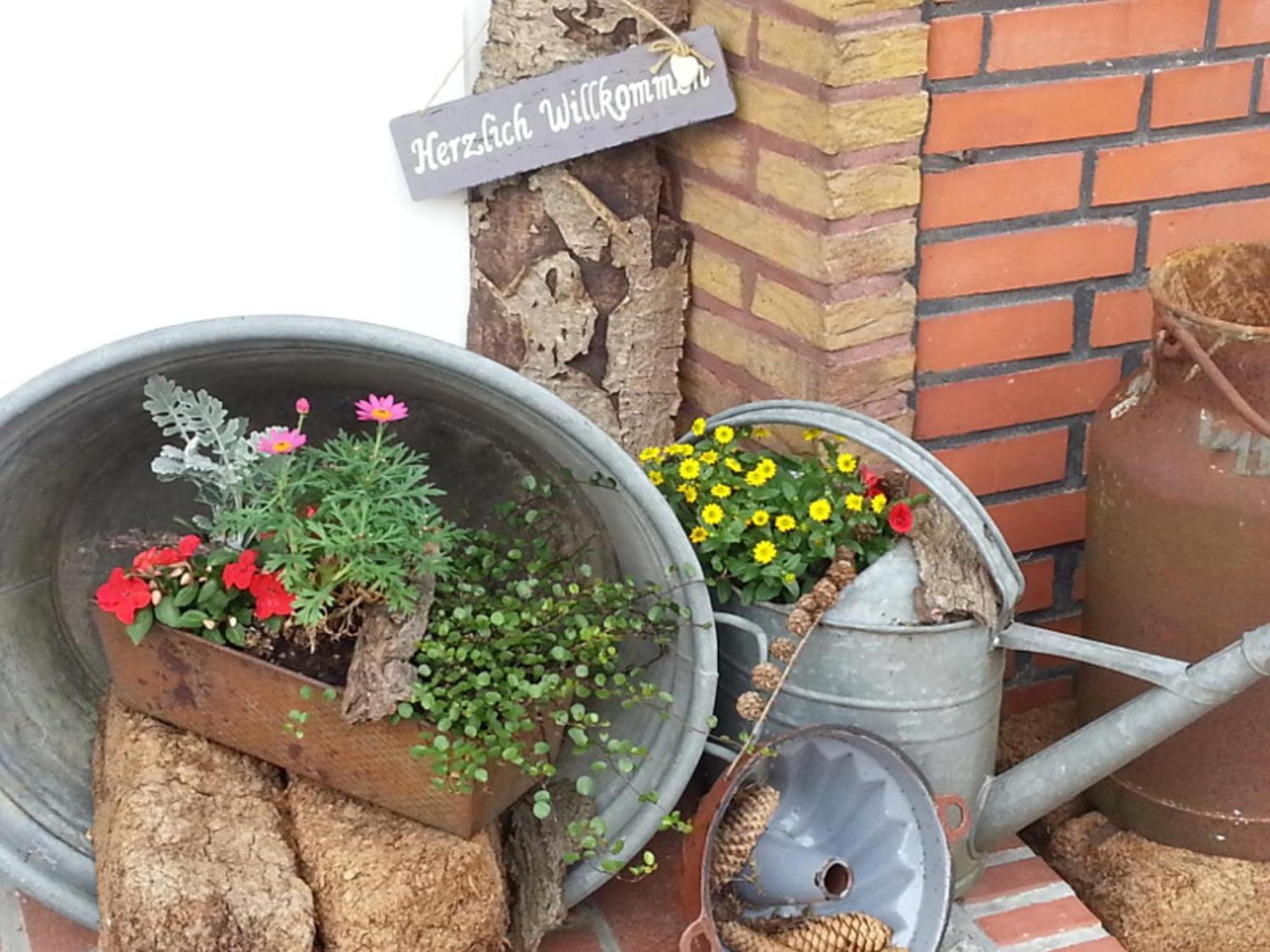 Ferienhaus Emstal In Oberlangen Lathen エクステリア 写真