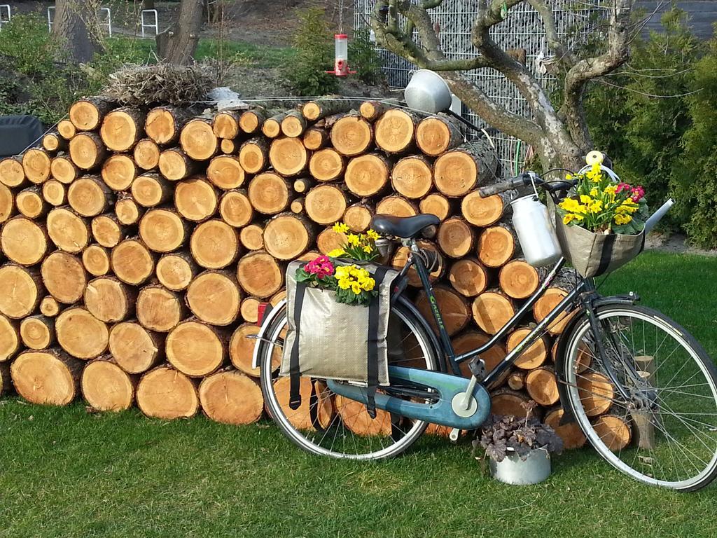 Ferienhaus Emstal In Oberlangen Lathen エクステリア 写真